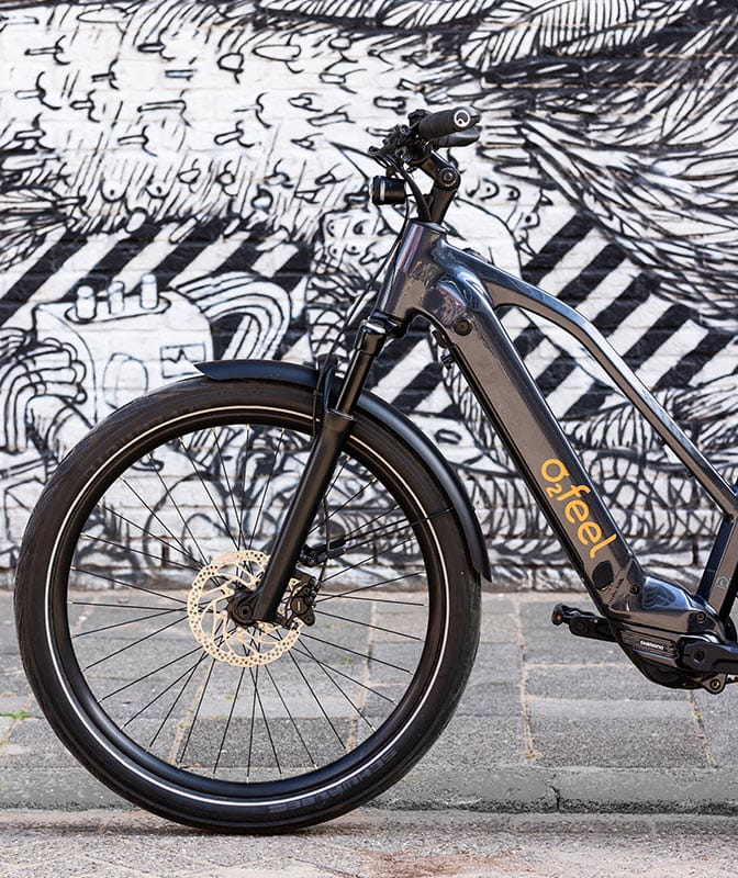 Vélo Vern gris