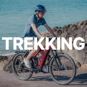 Vélos trekking